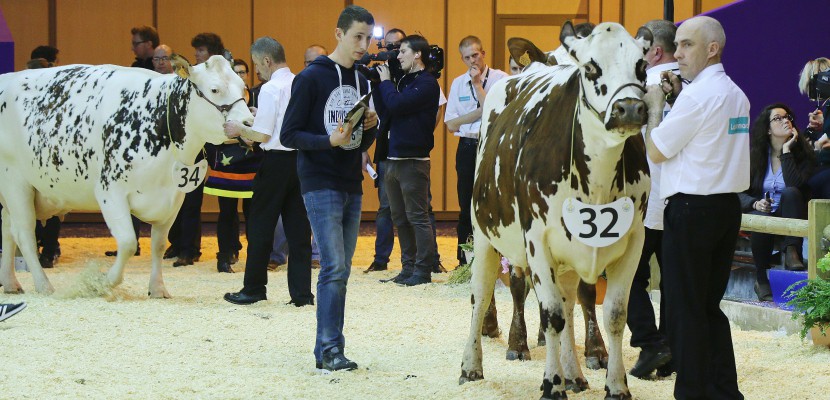 Saint-Lô. Salon de l'Agriculture : deux jeunes de la Manche en finale du concours de jugement des animaux