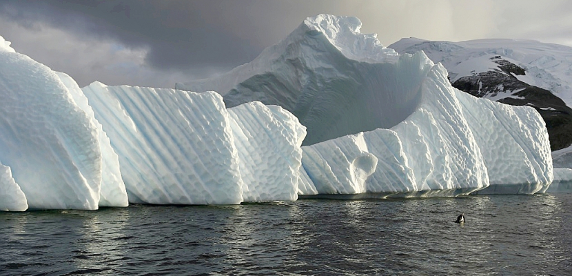Climat: la banquise antarctique sur la voie du déclin?