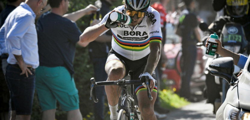 Paris-Roubaix: Sagan/Van Avermaet, les réponses d'une "reine"