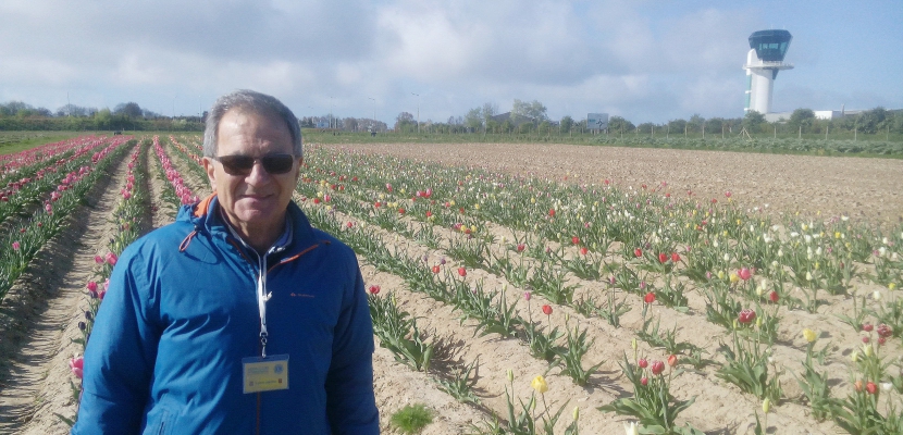 Octeville-sur-Mer. Normandie : des tulipes contre le cancer