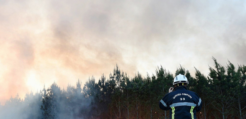 Gironde: 650 hectares de pins détruits dans des incendies de forêt