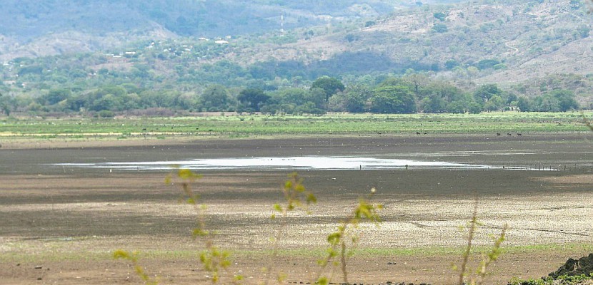 Au Guatemala, une lagune disparaît, victime du changement climatique