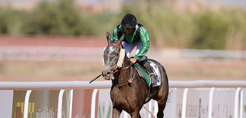 Au Maroc, une jeune jockey pionnière sur les hippodromes