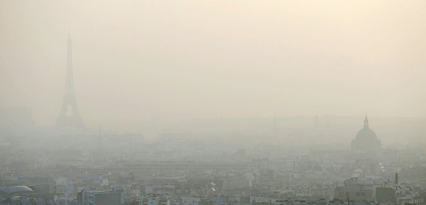 Pollution de l'air: une Parisienne attaque l'Etat en justice