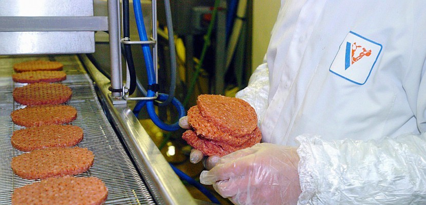 E.coli: rappel de steaks hachés commercialisés chez Leclerc, Auchan, Intermarché et Super U (abattoir)
