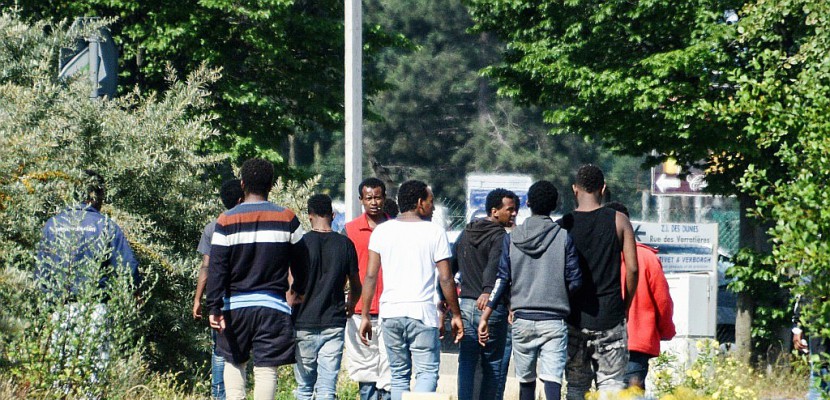 Migrants de Calais: l'Etat conteste les mesures d'aide devant le Conseil d'Etat