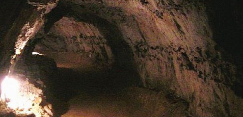 Saint-Martin-aux-Buneaux. Visite de la grotte des Petites Dalles de Saint-Martin-aux-Buneaux