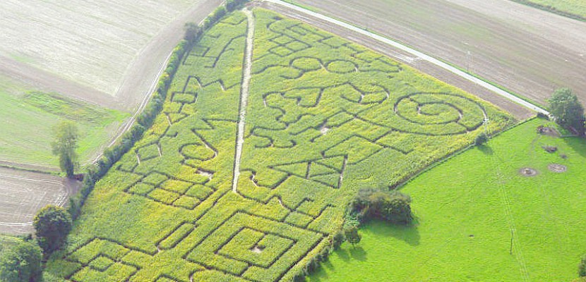 Honfleur. Labyrinthe dans le maïs à Honfleur