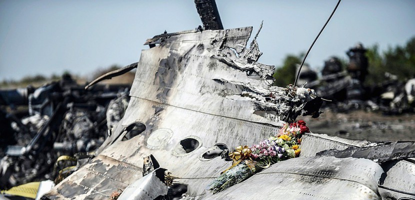 Vol MH17: un "bois du souvenir" inauguré trois ans après le crash