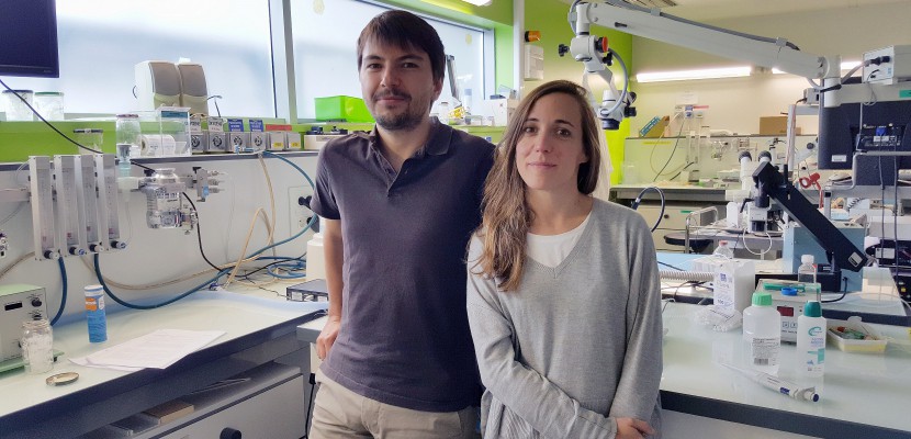 Caen. À Caen, deux chercheurs découvrent un nouveau remède étonnant contre l'AVC