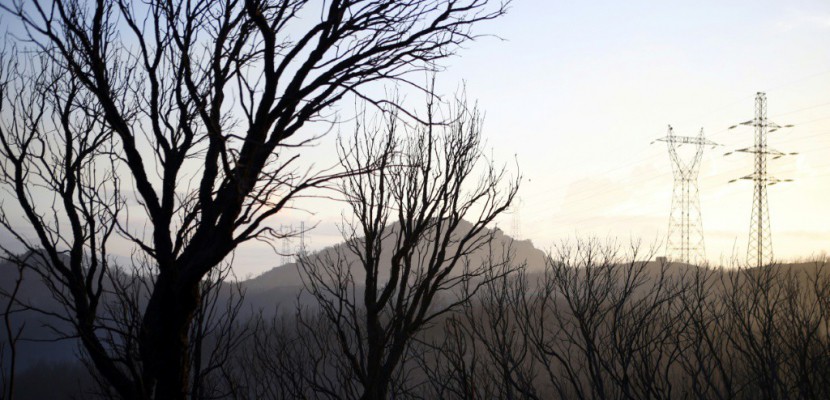 Incendie en Haute-Corse: 300 hectares de végétation parcourus