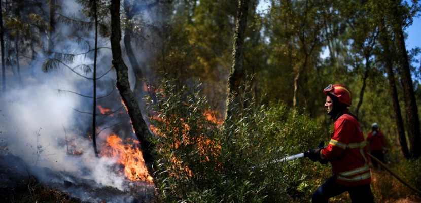 Le Portugal sous la canicule, en proie à de violents incendies