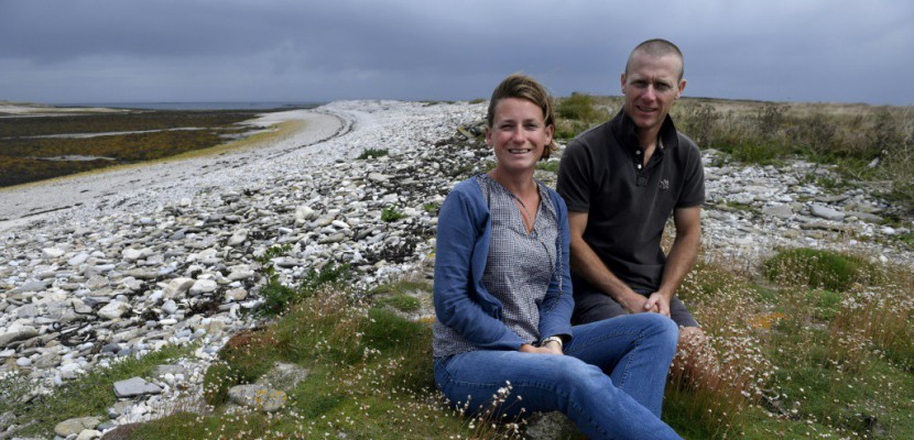 Dix ans sur un îlot breton désert pour un projet agro-environnemental