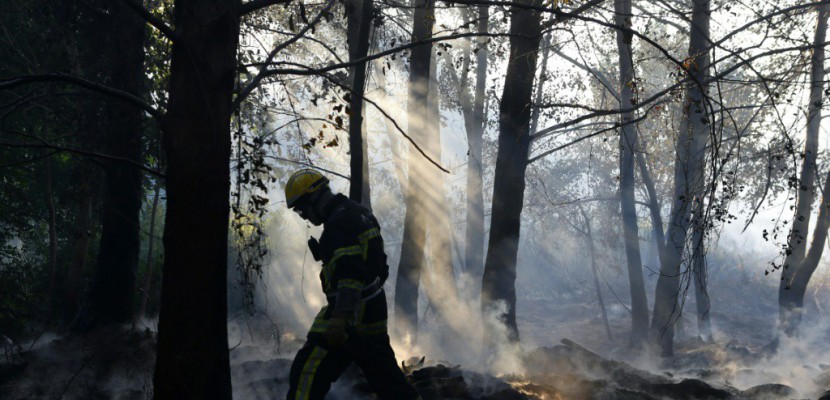 Feux en Haute-Corse: un homme mis en examen et écroué pour incendie volontaire à Bastia