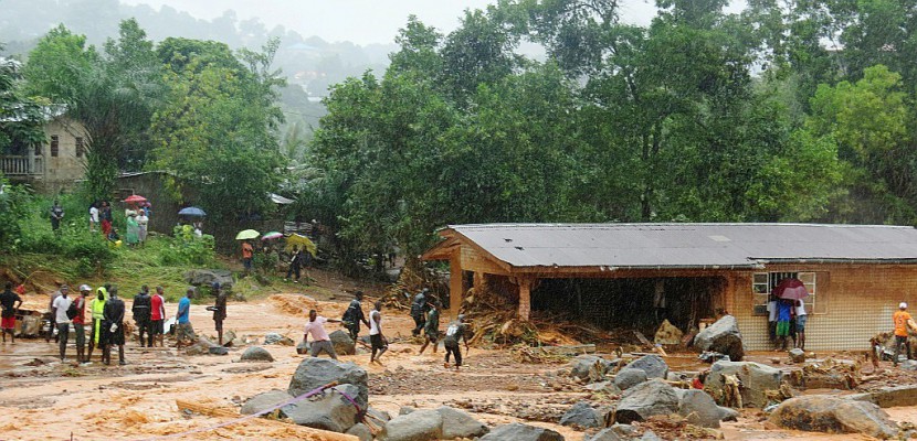 Sierra Leone: les secouristes à la recherche de survivants des coulées de boue