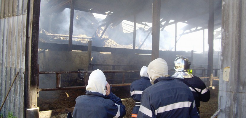 Caudebec-en-Caux. Un hangar agricole détruit par le feu à Rive en Seine