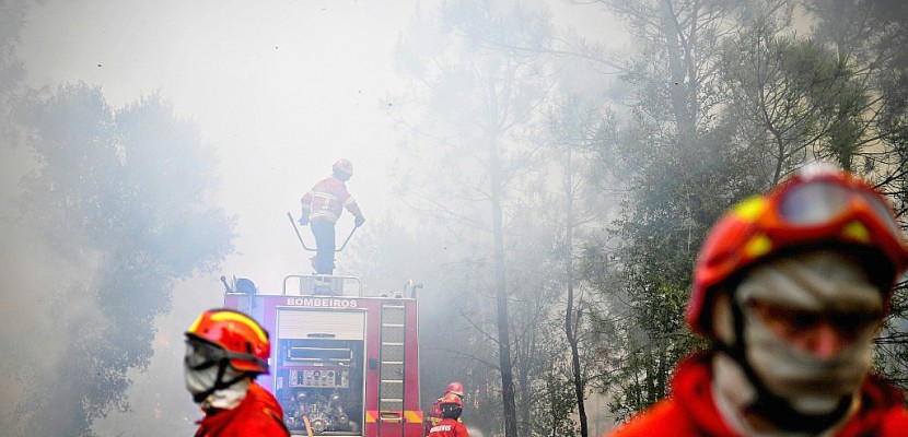 Portugal: les feux de forêt continuent de ravager le centre du pays