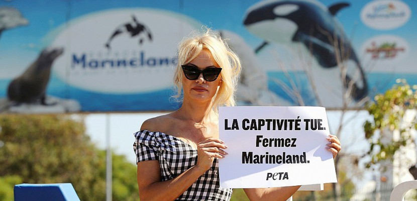 Pamela Anderson dénonce la captivité des animaux devant le Marineland d'Antibes