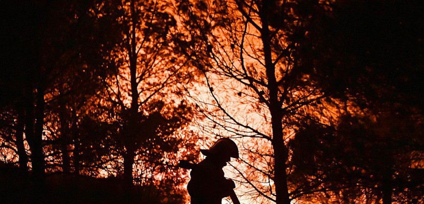 Var : un feu de forêt parcourt une centaine d'hectares près de Hyères
