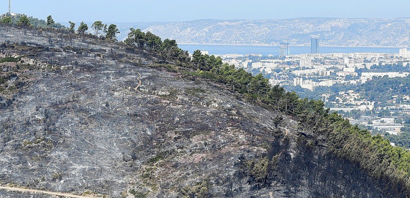 Un collégien avoue avoir allumé près de 20 feux près de Marseille