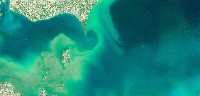 Algues vertes, algues bleues: de nombreux milieux aquatiques étouffent