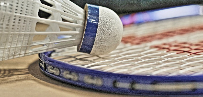 Rouen. Badminton : C'est la reprise pour le MDMSA