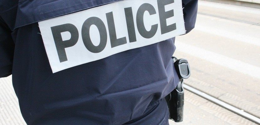 Rouen. Seine-Maritime : un homme tué par balle sur l'Ile Lacroix à Rouen