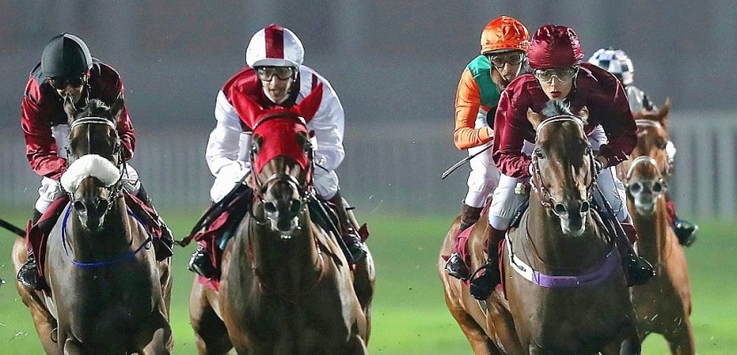 Au Qatar, une femme jockey écrit l'histoire