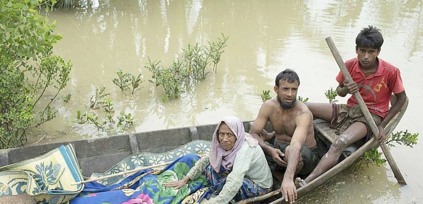 Birmanie: contre les Rohingyas, la faim comme arme de guerre