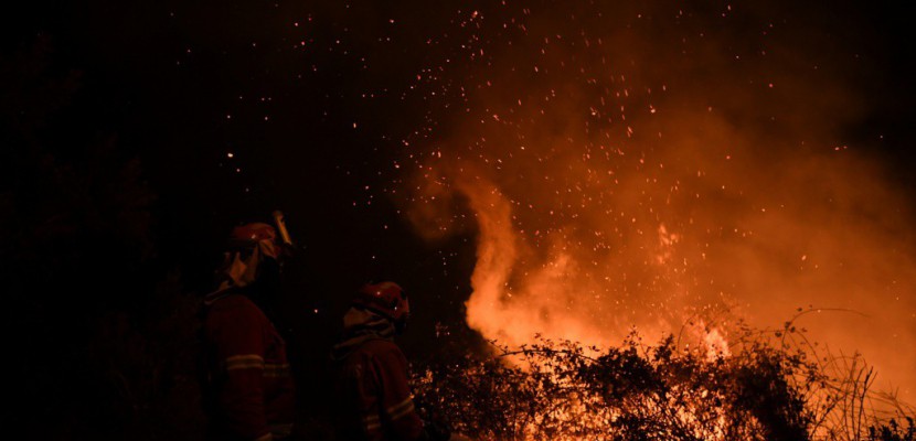 Des feux de forêt font près de 40 morts au Portugal et en Espagne