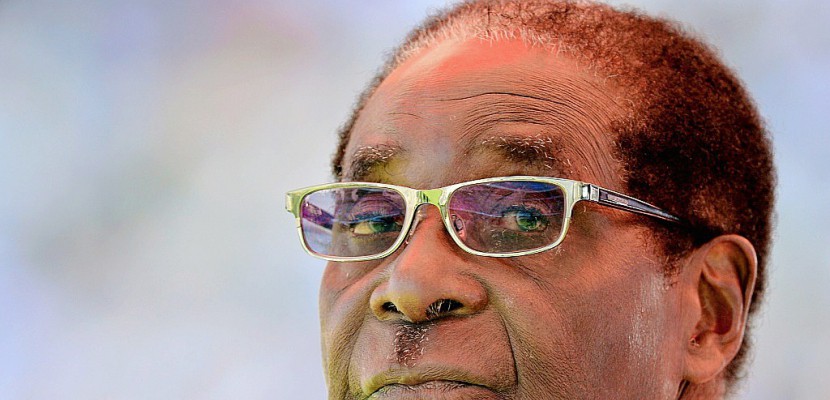 Zimbabwe: Mugabe "a bien pris les choses", selon son neveu
