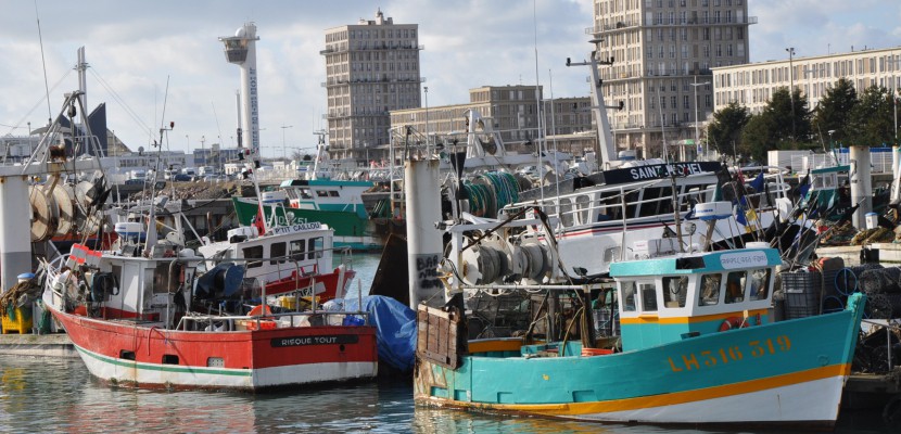 Le-Havre. Le Département va devenir le gestionnaire du port de pêche du Havre