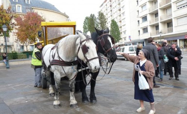 Centre-ville de Caen : la collecte de déchets à cheval !