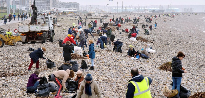 Le-Havre. Après Eleanor, la Ville et les habitants du Havre nettoient la plage ensemble