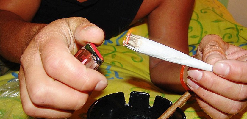 Caen. Cannabis : la simple amende "ne changera rien" pour un addictologue de Rouen