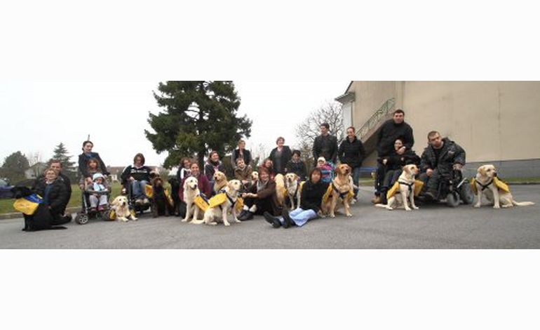 En plein Téléthon: 14 chiens d'assistance, remis à Alençon