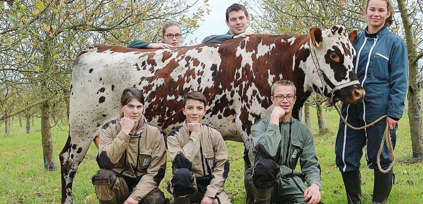 Sées. Trophée national des Lycées agricoles : 6 élèves de Sées (et Ibiza) prêts pour le Salon de l'Agriculture