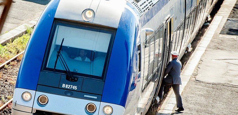 Réforme de la SNCF: les usagers demandent le maintien d'un "grand nombre" des petites lignes