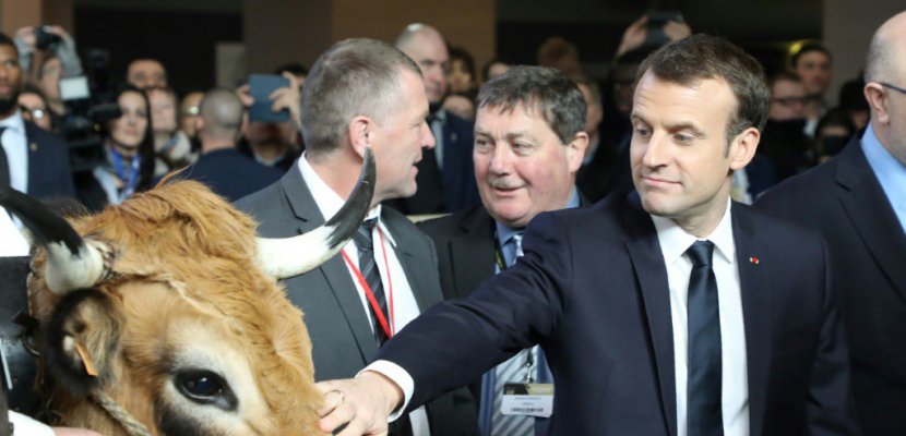 Macron en "terre de conquête" au salon de l'Agriculture