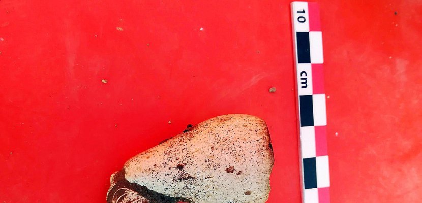 Affaire Seznec: les fragments d'os retrouvés sont ceux d'un animal