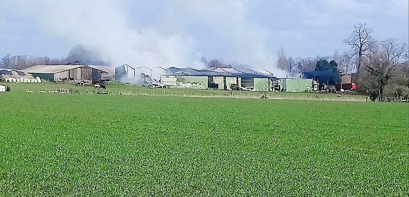 Saint-Romain-de-Colbosc. Violent incendie à Saint-Romain-de-Colbosc : 50 bovins périssent