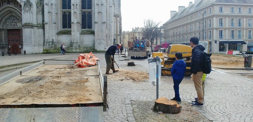 Rouen. L'abattage des arbres devant la cathédrale de Rouen suscite l'émoi