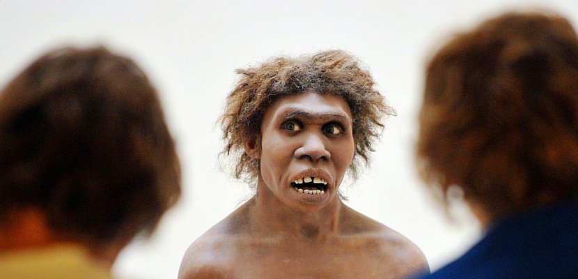 L'homme de Néandertal avait un gros nez pour mieux survivre au froid
