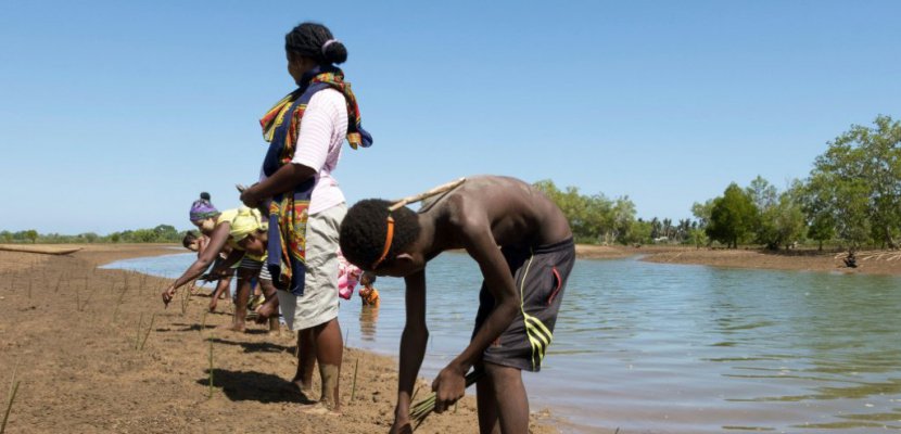 Madagascar: replanter la mangrove pour améliorer le quotidien des pêcheurs