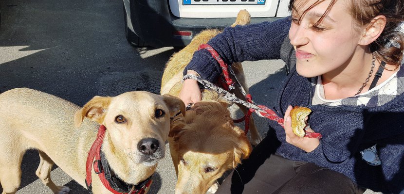Caen. À Caen, Gamelles pleines prend soin des chiens des SDF… et de leur maître