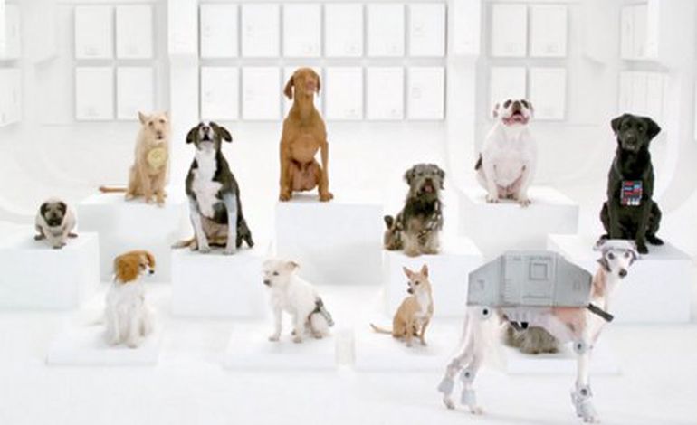 La chorale des chiens Star Wars