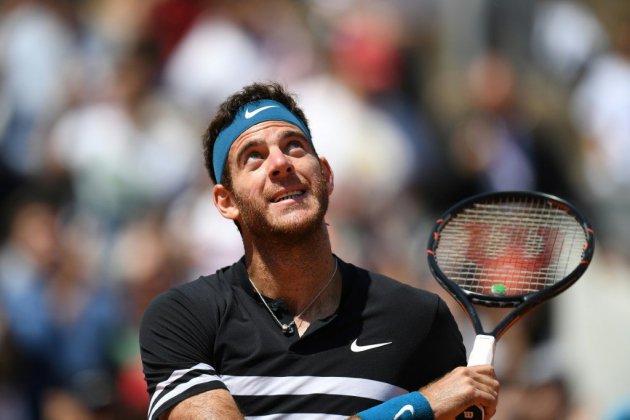 Roland-Garros: Del Potro rejoint Nadal en demies en battant Cilic