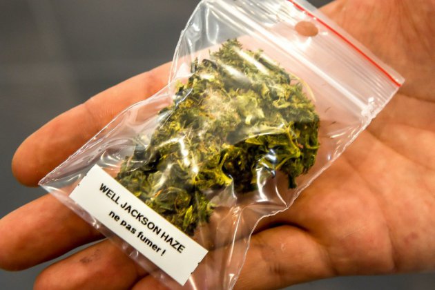 Le Canada fixe au 17 octobre la légalisation du cannabis