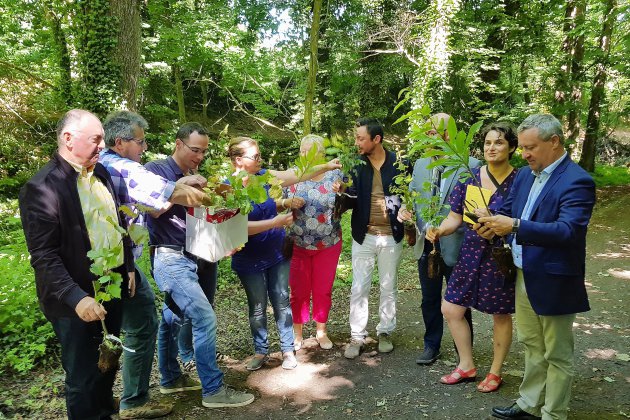 Saint-Cyr. 5 000 arbres à planter pour rénover le bocage manchois