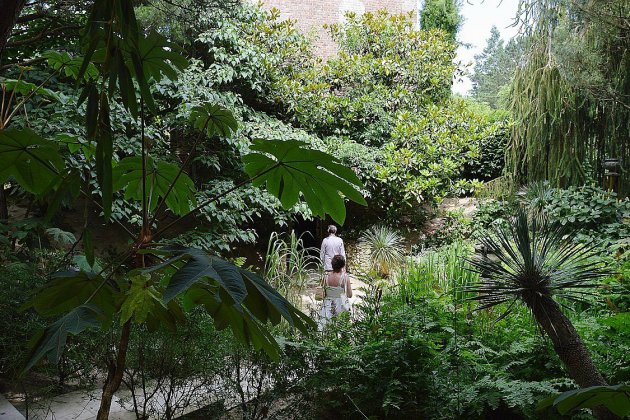 Insolite. Jardins Agapanthe de Grigneuseville : nocturnes pour voir la nature autrement